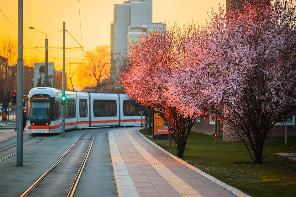 Türkiye'de Bir İlk: Tramvay Vatman Karnesi Uygulaması
